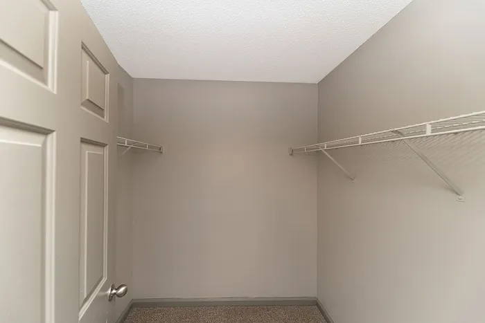 Spacious walk-in closet featuring ample shelving and neutral carpeting, ideal for organized storage.