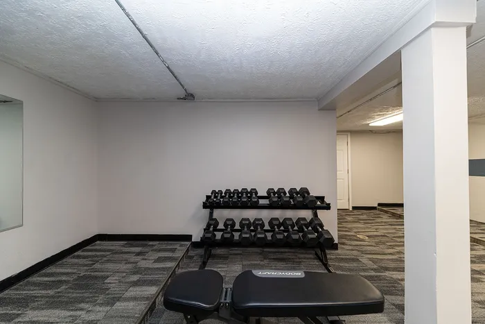 Modern fitness space with sleek dumbbell rack and comfortable bench on stylish carpet flooring, ideal for home workouts.