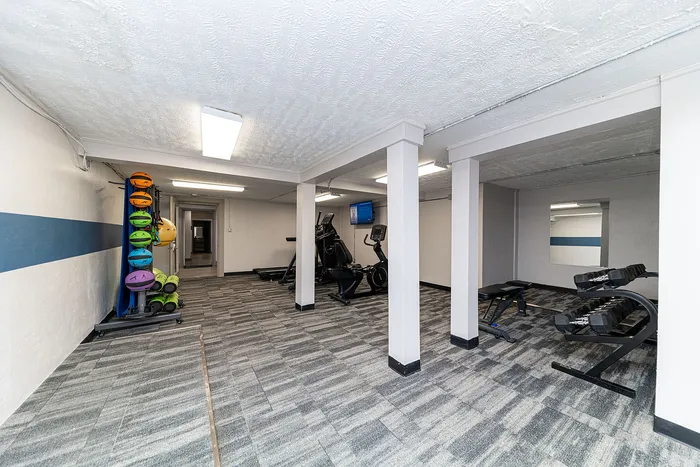 Modern fitness room featuring state-of-the-art exercise equipment and colorful fitness balls, perfect for staying active and healthy.