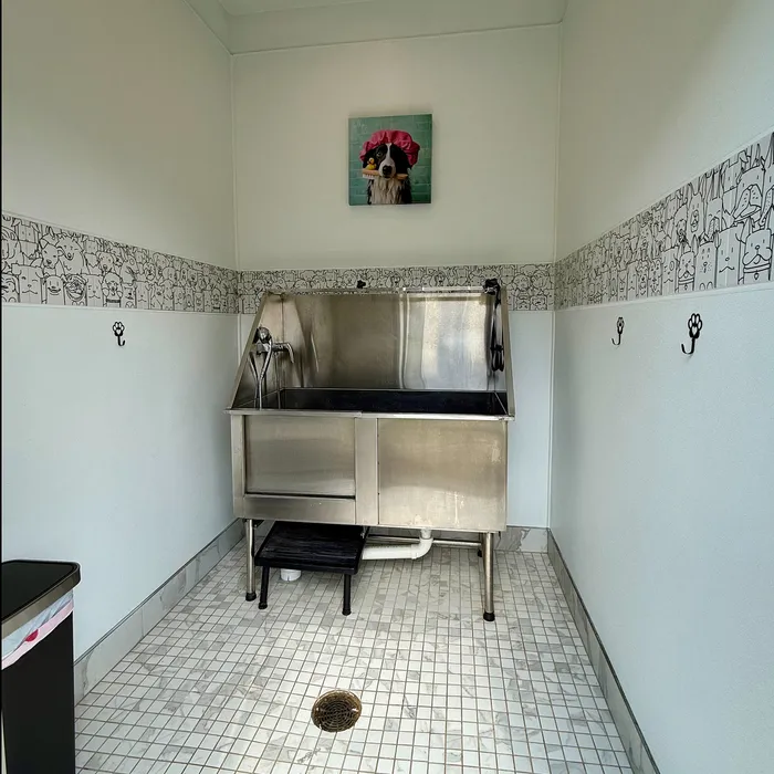 Pet-friendly apartment amenity featuring a stylish dog washing station with whimsical decor.