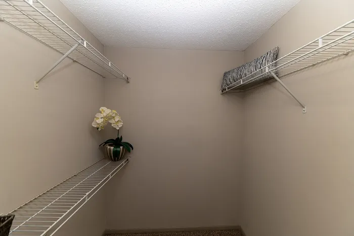 Spacious walk-in closet with wire shelving, featuring a decorative potted plant and neatly stored items.