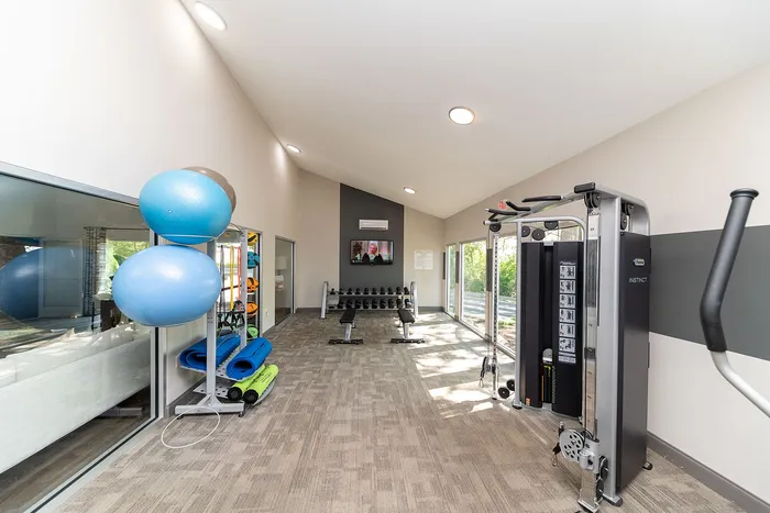 Bright and modern fitness room featuring exercise equipment, yoga mats, and large windows overlooking a lush landscape.