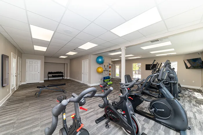 Spacious and modern fitness center equipped with cardio machines, free weights, and vibrant exercise balls.