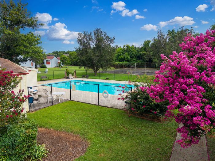Inviting outdoor view featuring a refreshing swimming pool, vibrant pink flowers, and lush green lawns under a clear blue sky.