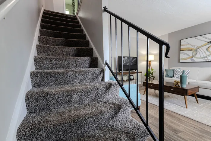Inviting modern apartment featuring plush carpeted stairs leading to a cozy living area with stylish decor and a sleek, contemporary design.