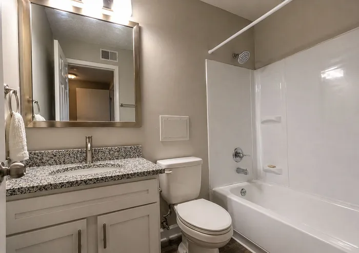 Elegant bathroom featuring a granite countertop, sleek vanity, and modern fixtures with a tub and shower combination.