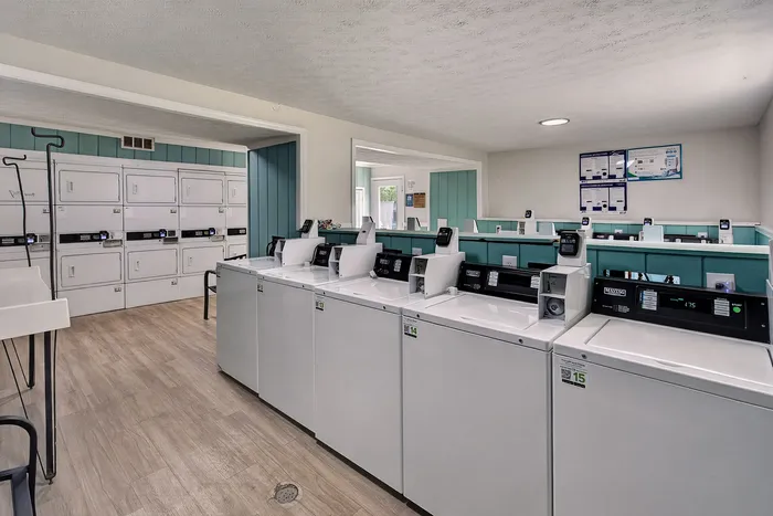 Modern laundry room with rows of high-efficiency washers and dryers, stylish wood flooring, and ample natural light.
