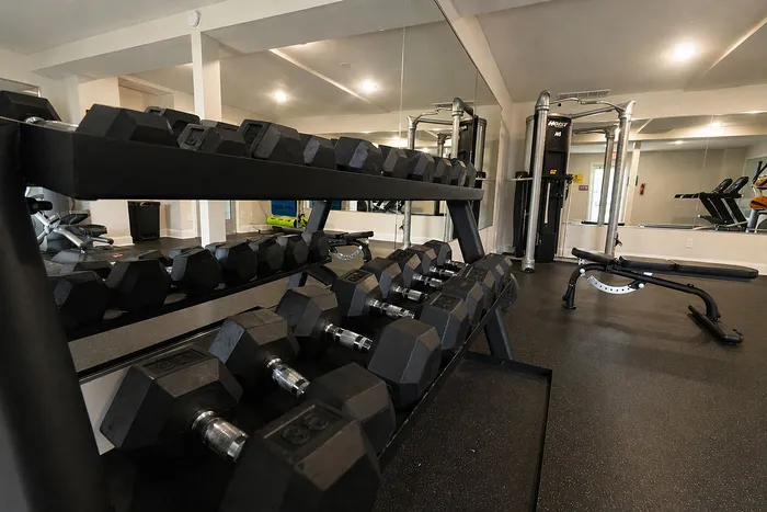 Modern fitness center with a full set of dumbbells, sleek weight machines, and mirrored walls for an energetic workout experience.