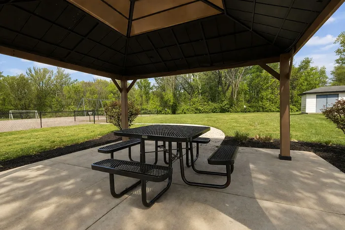 Charming picnic area under a gazebo with a picturesque view of a lush green park, perfect for outdoor gatherings.