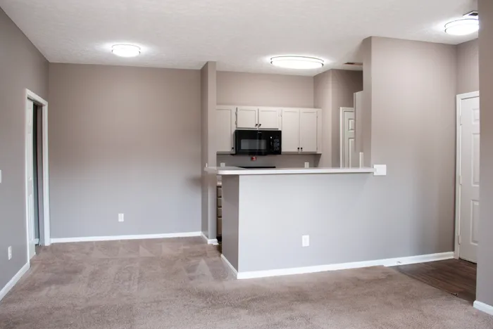 Inviting open-concept living area with plush carpeting and modern kitchen featuring sleek cabinetry and appliances.