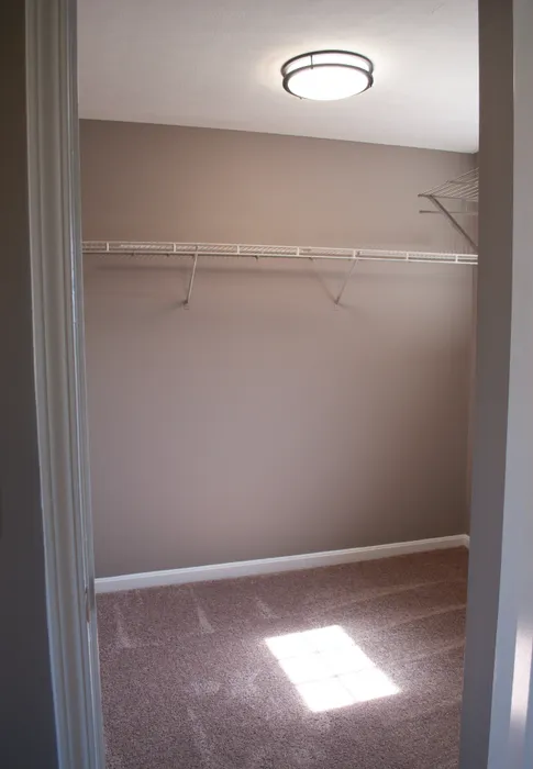 Spacious walk-in closet with modern lighting and plush carpet, perfect for organizing and adding personal style.
