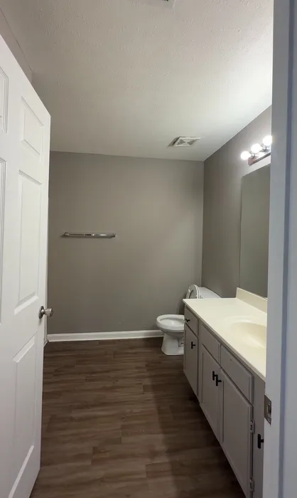 Elegant bathroom with modern fixtures, spacious vanity, and warm wooden flooring creating a cozy ambiance.