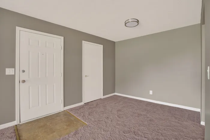 Inviting entryway with neutral tones, sleek lighting, and plush carpeting, offering a warm welcome.