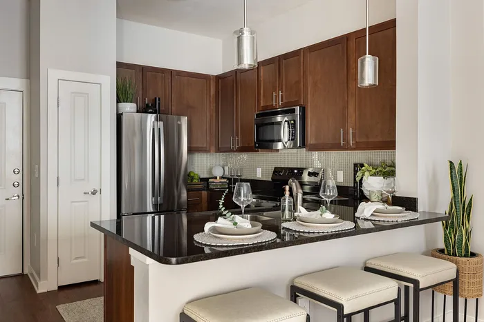 Modern kitchen with elegant dark countertops, stainless steel appliances, and chic bar seating for a contemporary living space.