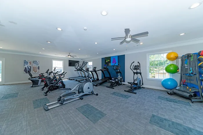 Modern fitness center equipped with state-of-the-art cardio machines, free weights, and vibrant exercise balls, bathed in natural light.