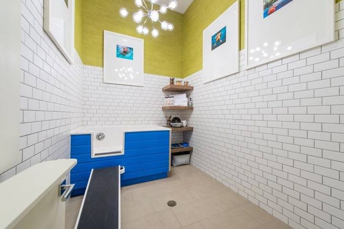 Pet Wash Room