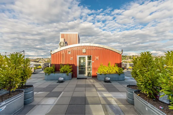 Rooftop Patio