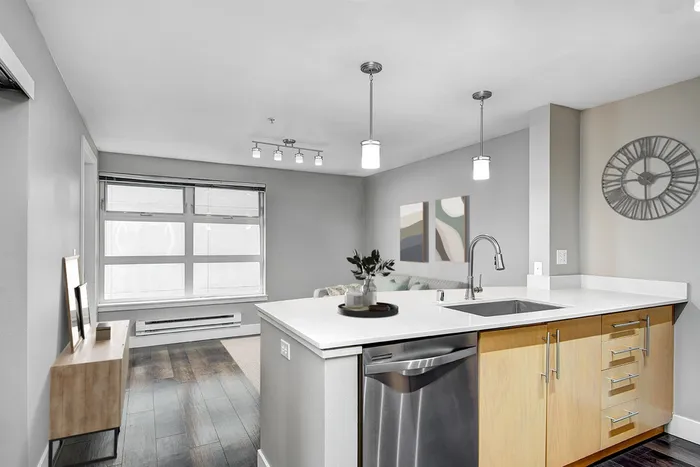 Kitchen Countertop with stainless steel dishwasher and the view of the livingroom