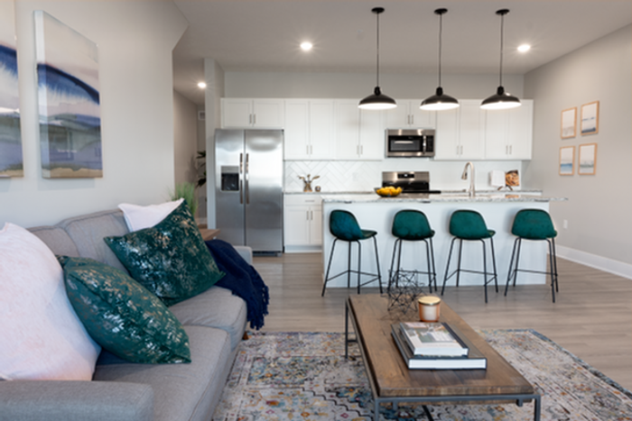 Living Room and Kitchen