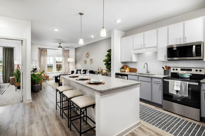 Bright Kitchen and Living Room