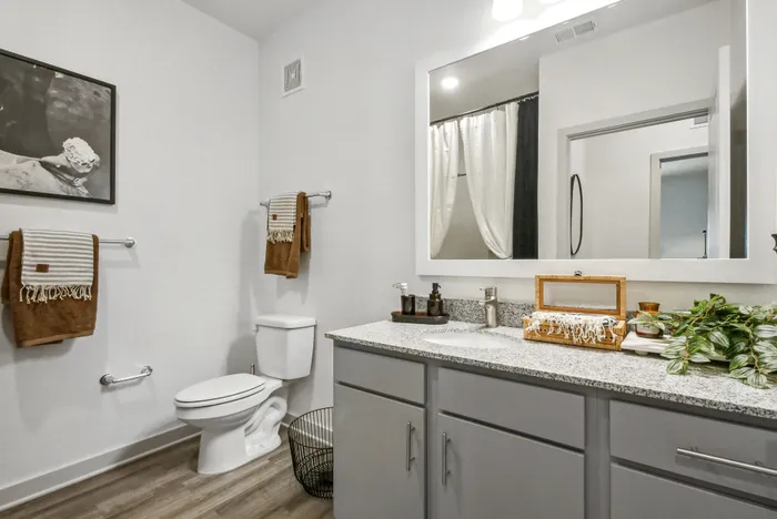 Advenir at Mallory Lake bathroom