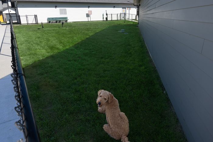 Dog Park On Site
