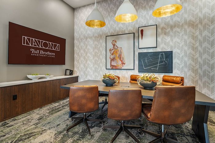 Navona interior confrence room, mounted flat screen tv, ceiling light fixtures