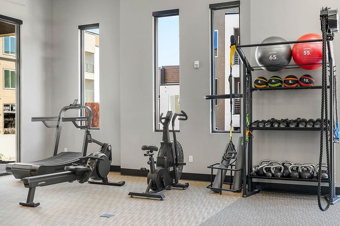 Navona interior fitness center, ceiling lighting, large windows