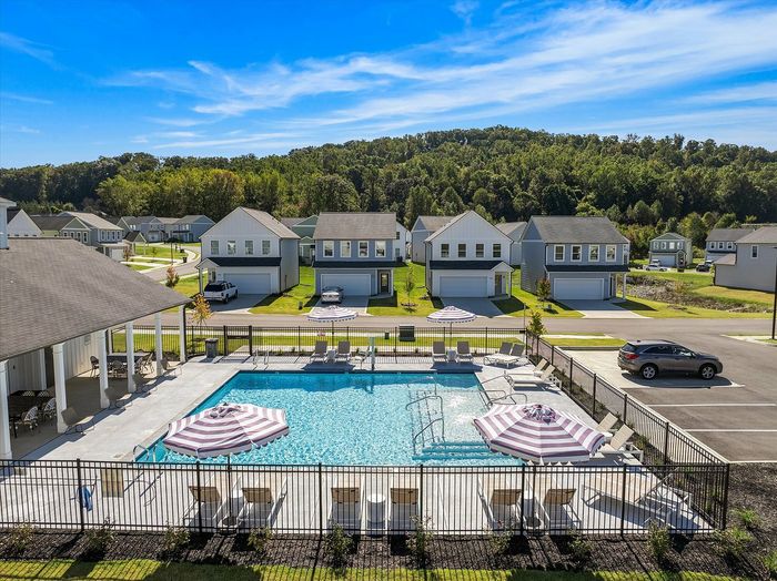 Highline at Knoxville rental houses in Knoxville, TN with a community pool, lounge chairs, umbrellas, and a pavilion