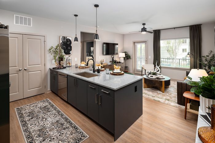 Ava Oakwood luxury apartment kitchen in Gainesville