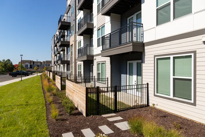 Fenced Yards
