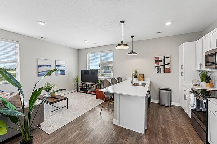 Living Room and Kitchen