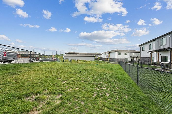 Dog Park