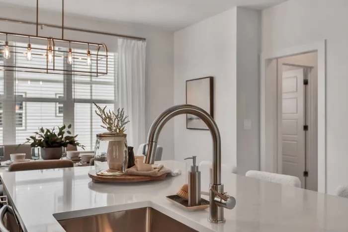 Expansive Quartz Countertops