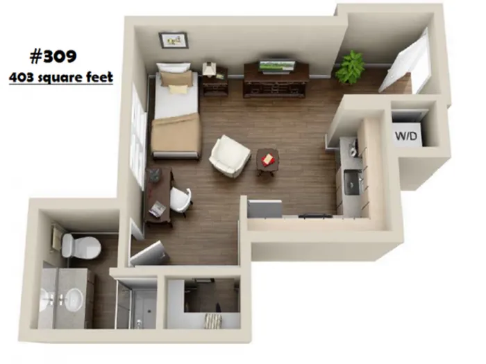 S-309 | Studio1 bath | from 403 square feet
