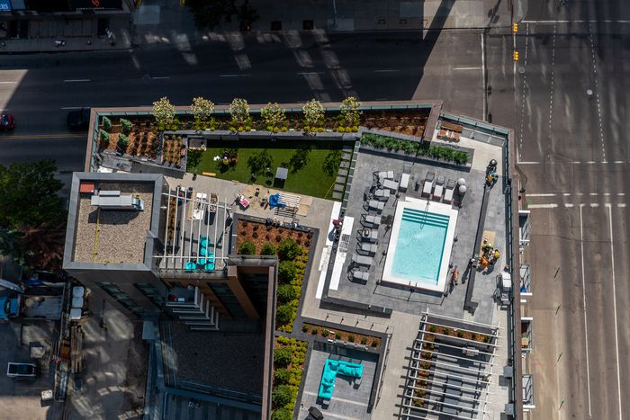 Aerial view of One Park&rsquo;s rooftop featuring a single large pool, lounge chairs, outdoor seating areas, and a landscaped lawn with city views.
