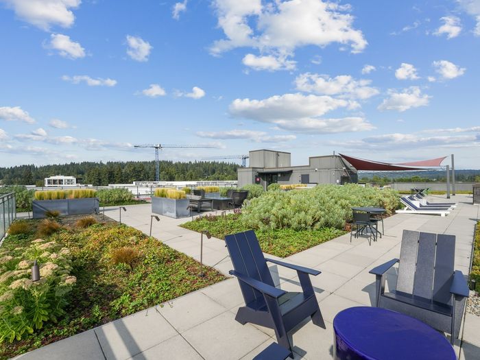 Rooftop patio with Adirondack chairs, garden landscaping, lounge chairs, shaded seating area, and expansive sky views.