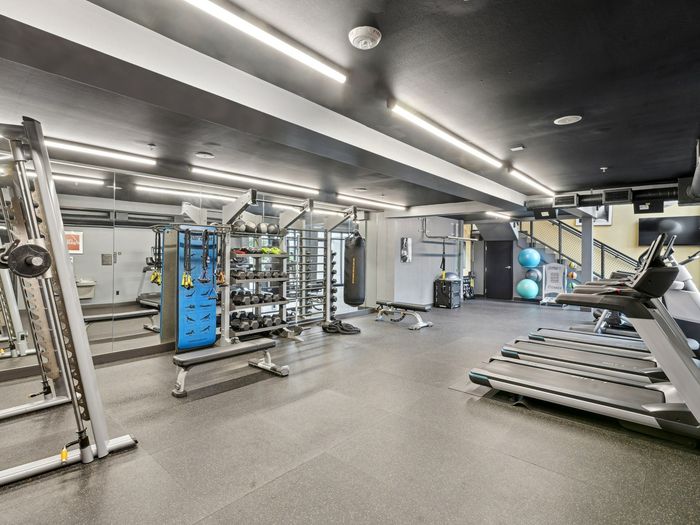 Modern apartment gym with treadmills, strength training equipment, free weights, resistance bands, and exercise balls.
