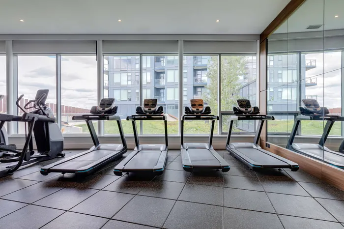 Modern apartment fitness center with large windows, featuring state-of-the-art treadmills and vibrant outdoor views.