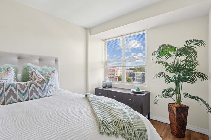 Bright and inviting bedroom with plush bedding, a large window offering scenic views, decorative pillows, and a vibrant potted plant.