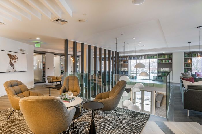 Modern apartment lounge featuring cozy armchairs, sleek decor, and ample natural light, ideal for relaxation and entertaining.