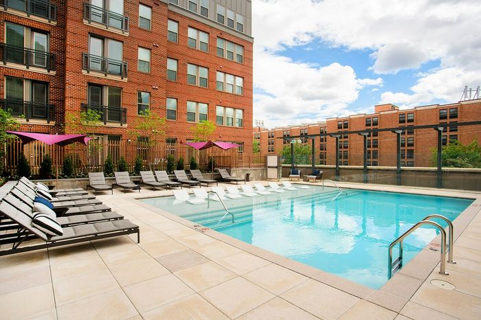 Chic urban apartment complex with a luxurious outdoor pool, surrounded by stylish lounge chairs and vibrant umbrellas, perfect for relaxation.