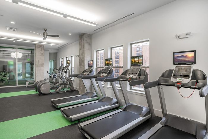 Modern fitness center equipped with sleek treadmills and elliptical machines, featuring bright windows and a stylish interior.