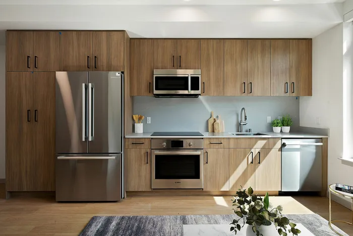 Modern kitchen with sleek stainless steel appliances, elegant wooden cabinetry, and abundant natural light.