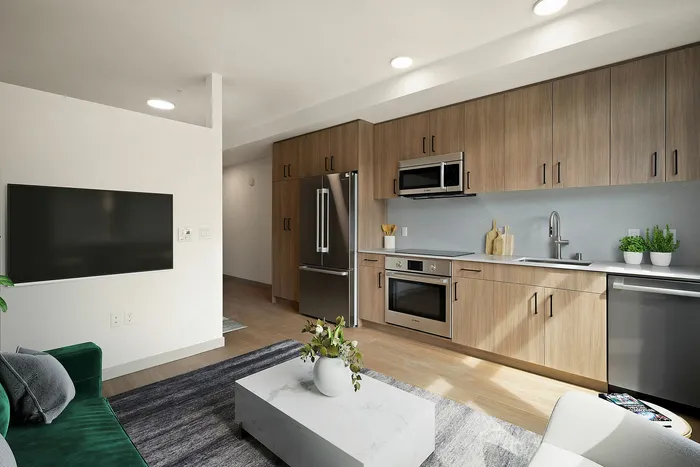Contemporary open-plan kitchen with sleek wooden cabinetry, stainless steel appliances, and a cozy living area featuring a plush green sofa and elegant coffee table.