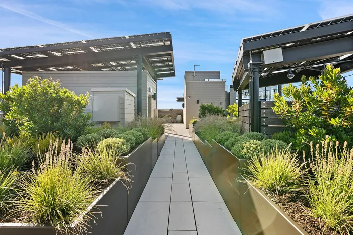 Modern rooftop garden oasis with lush greenery and sleek architectural elements under solar panels, offering a sustainable urban retreat.