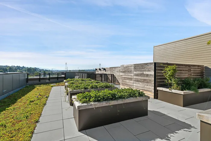 Scenic rooftop garden featuring modern planters, lush greenery, and panoramic views of the landscape.
