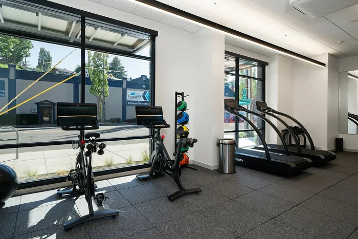 Modern gym with sleek exercise bikes, state-of-the-art treadmills, and vibrant medicine balls, featuring floor-to-ceiling windows for natural light.
