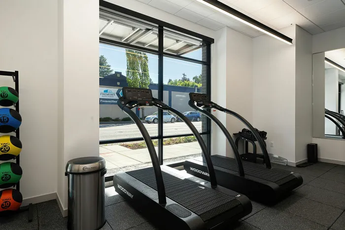 Bright and modern gym with state-of-the-art treadmills, colorful exercise balls, and a large window offering a street view.