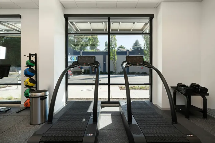 Inviting modern fitness center featuring treadmills with outdoor views, vibrant exercise balls, and sleek flooring.